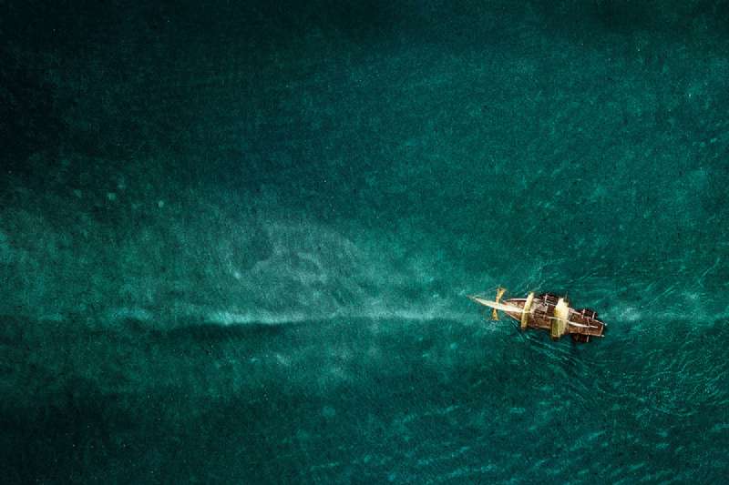 In the Heart of the Sea 