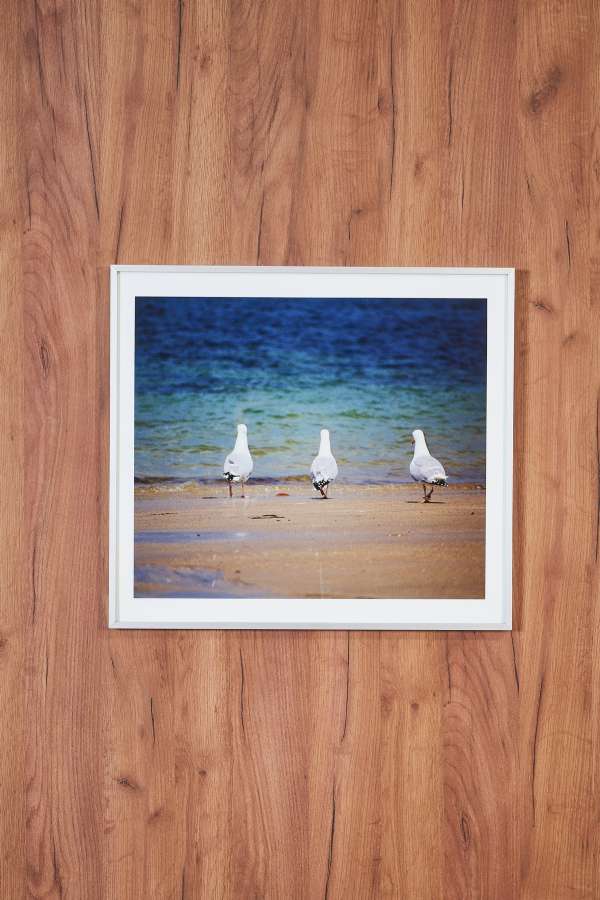 Three Seagulls on the Beach, Medium Size Painting 