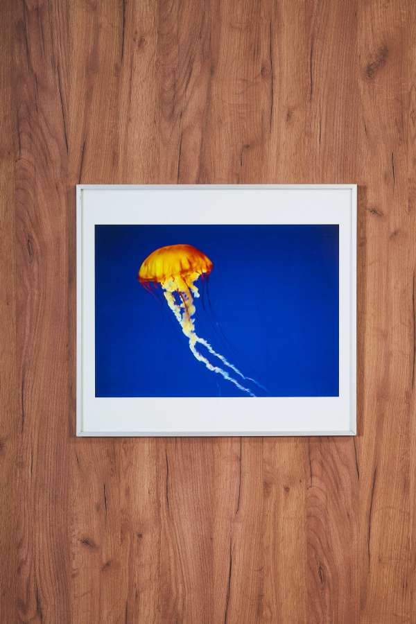 Orange Jellyfish Above Water Medium Painting 