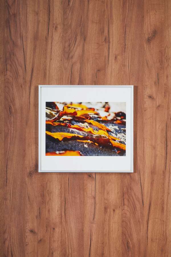 Yellow Leaf On The Water Beach Small Size Painting 