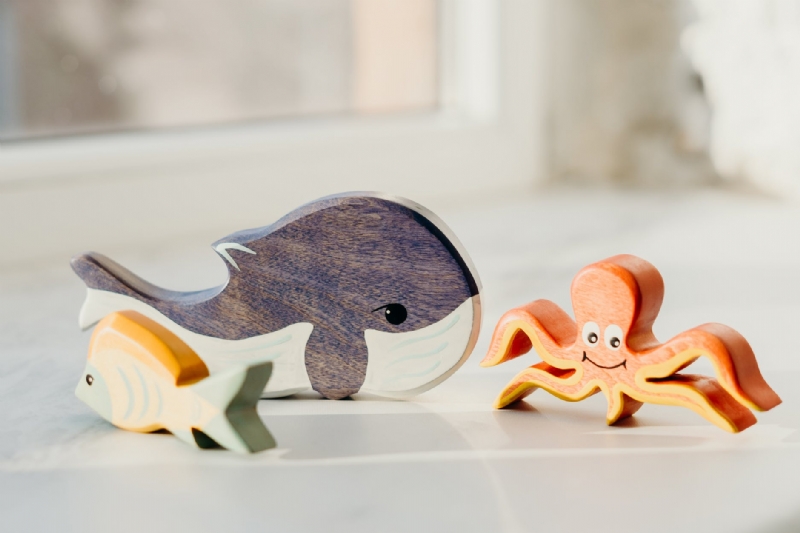 Fish Figure Items Complementing Your Kitchens