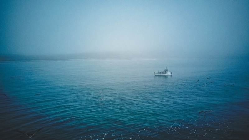 Applications that can be used for Live Ship Tracking