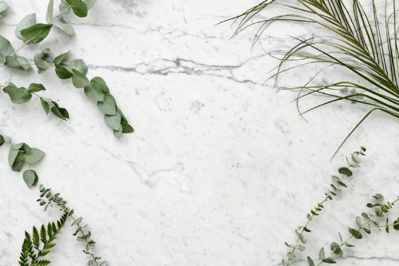 Create Eye-catching Decorations with Marine Themed Marble Products