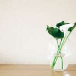 Complete Your Decoration with Table Top Vase Models