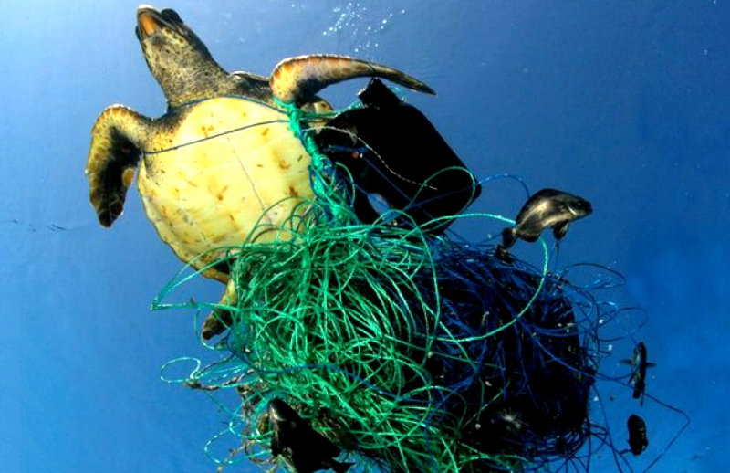 Plastic Ocean Documentary