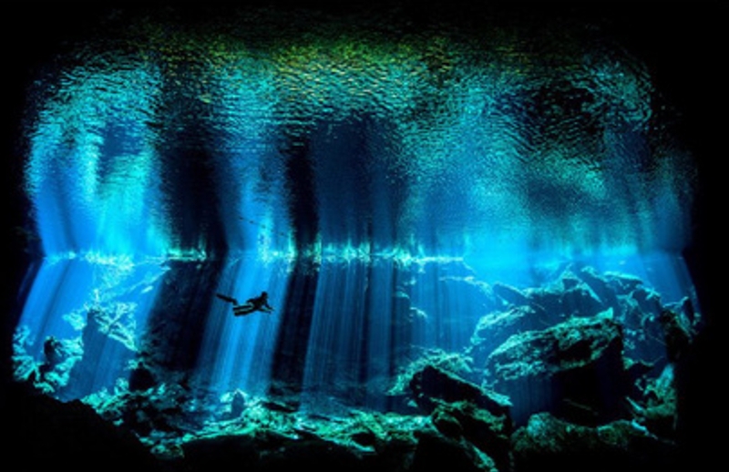 The World's First Underwater Photograph