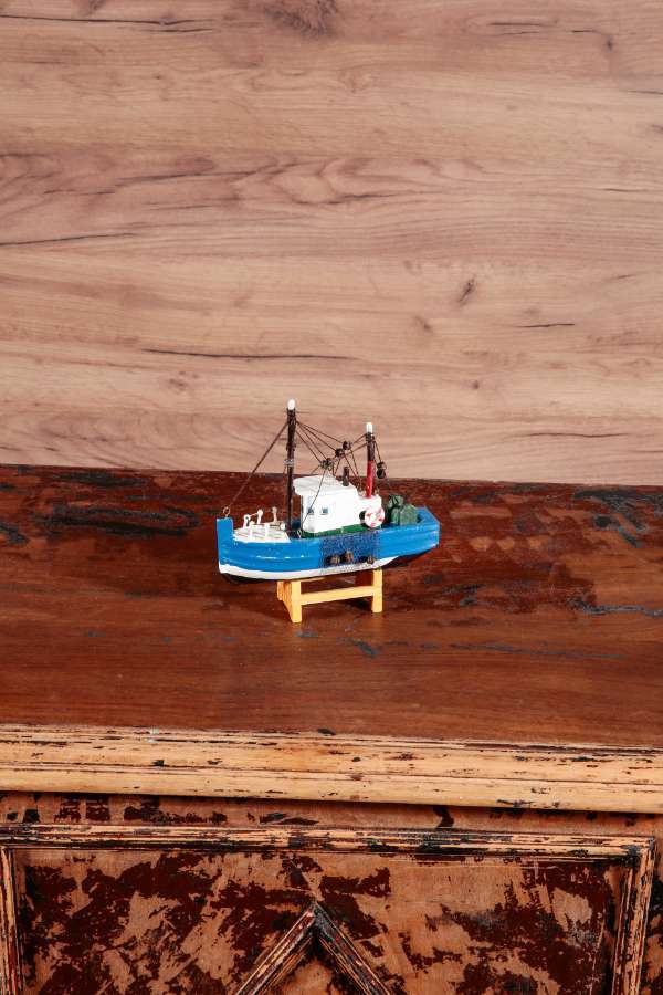 Mini Fishing Boat 