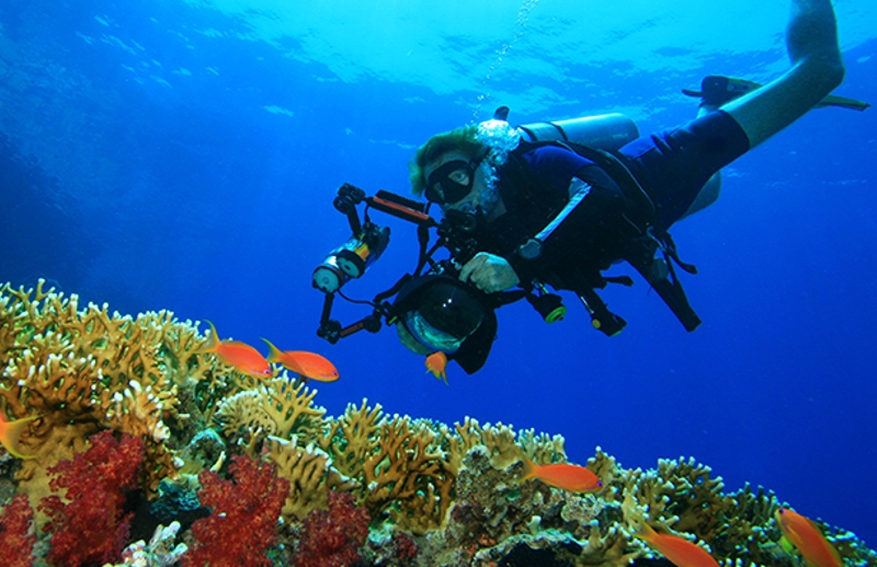 Underwater Photography